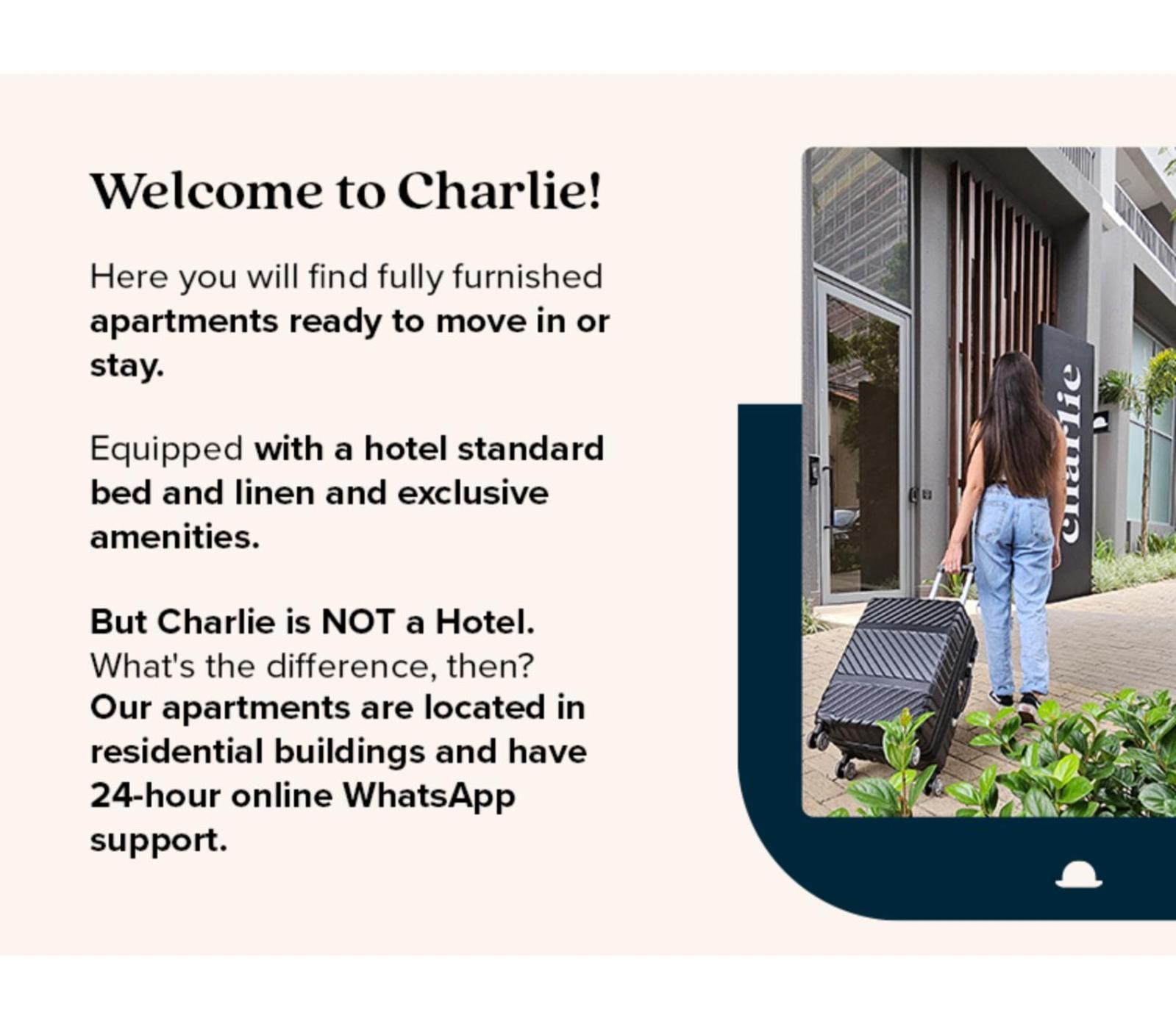 Апартаменты Charlie Cobogo Pinheiros Сан-Пауло Экстерьер фото